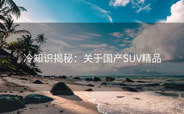 冷知识揭秘:关于国产SUV精品
